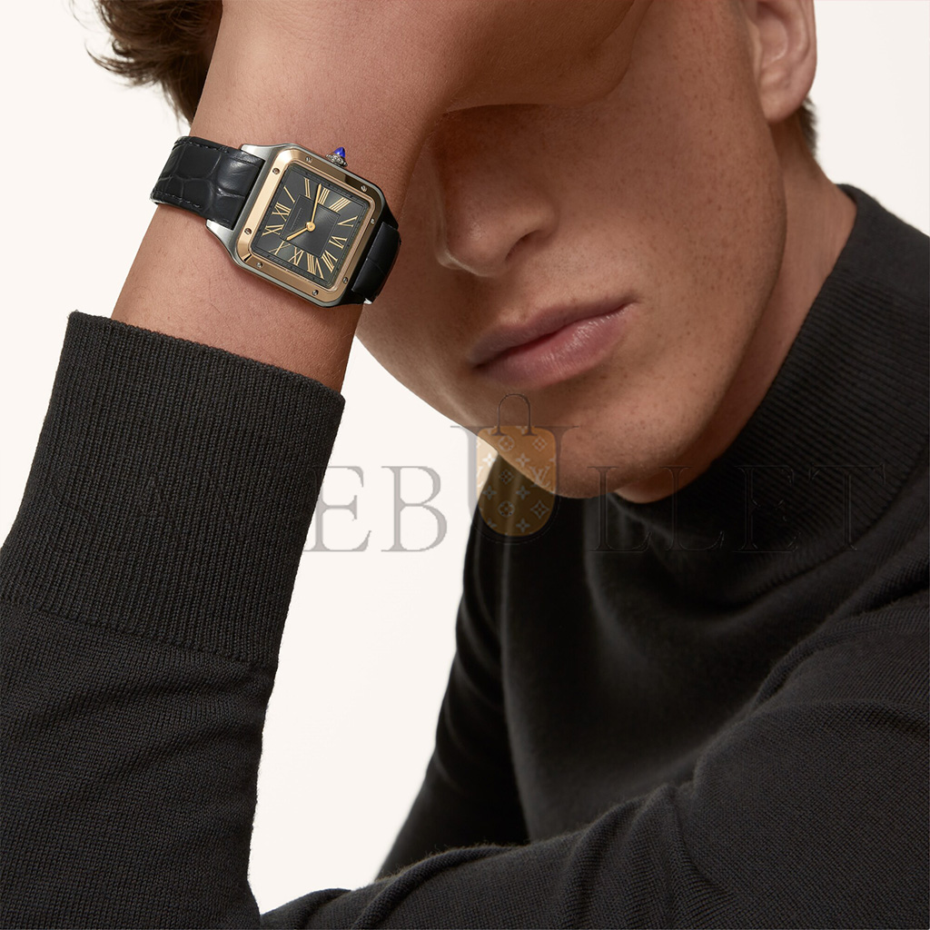 CARTIER SANTOS-DUMONT 44MM WATCH W2SA0028